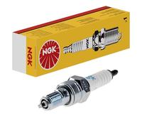 NGK Bougie d'allumage (à l'unité) 0087295179383
