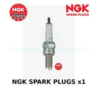 NGK Bougie d'allumage (à l'unité) 0087295162644