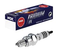 BOUGIE D'ALLUMAGE NGK CR8HIX (NR. 7669) (IUF24)