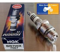 Bougie d'allumage LPG/GPL NGK 7067, 1 pièce