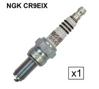NGK Bougie d'allumage (à l'unité) 0087295135211