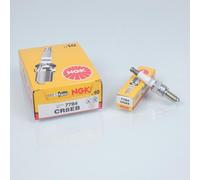 Bougie d'allumage NGK pour Moto Aprilia 550 SXV 2006 à 2014 CR8EB Neuf