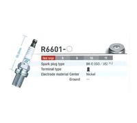 Bougie d'allumage NGK R6601-8 3033