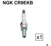 NGK Bougie d'allumage (à l'unité) 0087295123058