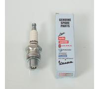 Bougie D'allumage Origine Pour Auto P82m / L82c/T10 / 4738070 B6hs Neuf