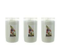 Bougie de dévotion 3 jours Saint Michel - Bougie Chrétienne - Culte Chrétien en Cire végétale