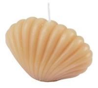 Bougie Déco Coquillage "Arty" 9cm Semoule