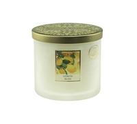 Bougie ellipse 2 mèches Heart and Home Citron d'Amalfi