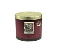 Bougie ellipse 2 mèches heart and home mûre des bois