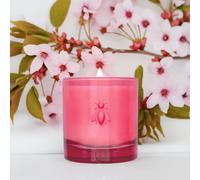 Bougie fleur du levant