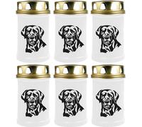 Bougie funéraire - Lot de 6 - Blanc 48h ( couvercle doré ) - Labrador