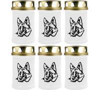 Bougie funéraire - Pack de 6 - Blanc 48h ( couvercle or ) - Berger allemand