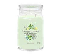 Bougie Grande En Verre Signature Concombre Menthe Cooler Yankee CANDLE
