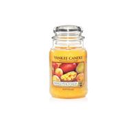 Bougie Grande Jarre MANGO PEACH SALSA