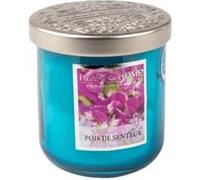 Bougie Heart and Home Petite jarre Pois de senteur Bleu Bleu