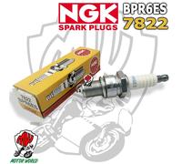 NGK bougie d'allumage