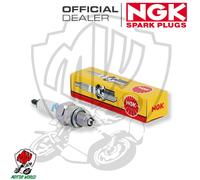 Bougie NGK CMR6A Pour Motoseghe Et Débroussailleuses Blanche 1 Pièce