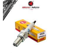 Bougie NGK DPR8EA-9 Pour Gilera Coguar / Dakota 350 / RC 600 / Saturno