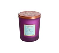 Collines de Provence Bougie Parfumé Figue & Aloe Vera 180g