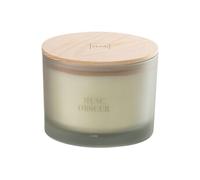 Bougie Parfumée "Accords Essentiels" 10cm Musc Obscur