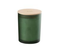 J-Line Bougie parfumée Accords Essentiels - Bois Givré - Vert - 52H