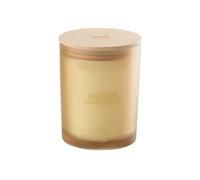 Bougie Parfumée "Accords Essentiels" 14cm Oranger Ensoleillé