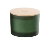 Bougie Parfumée Accords Essentiels en Cire Bois Givré H. 10 cm Verte