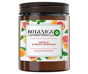 Bougie Parfumée Air Wick Botanica Menthe Pamplemousse 205 g