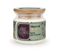 Bougie Parfumée Artisanale "Bois de Figuier" 40 heures 150ml | Mistral des Sens