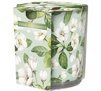 Bougie parfumée Bispol en verre Fraîcheur printanière SN72S-40