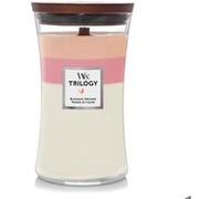 Woodwick Trilogy Blooming Orchard bougie parfumée 609.5 g