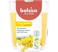 Bougie parfumée dans verre, mimosa, True Scents, BOLSIUS, 97/85 mm, durée de combustion env. 45h