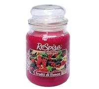 Bougie parfumée en grand pot en verre avec couvercle, mèche en coton, durée de combustion jusqu'à 130 heures, fabriquée en Italie (1 pièce, fruits de bois)