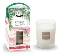 Bougie parfumée et rechargeable lotus et amande douce - Esteban