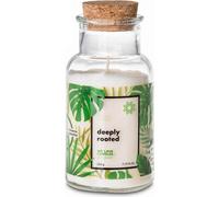 Bougie parfumée Go Green - Deeply rooted 220g