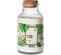 Bougie parfumée Go Green - Deeply rooted 420g