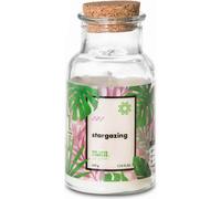 Bougie parfumée Go Green - Stargazing 220g