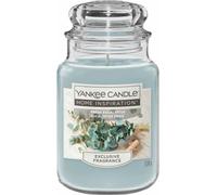 Bougie parfumée Home Inspiration large Fresh Eucalyptus 538 g