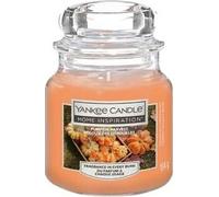 Bougie parfumée Home Inspiration petite récolte de citrouilles 104 g
