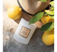 COLLINES DE PROVENCE-Bougie Parfumée Infusion d’agrumes - 180 gr