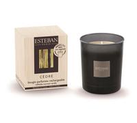 Bougie parfumée initiale rechargeable Esteban Cèdre