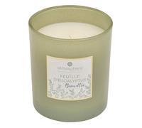 Bougie parfumée Maël 190g pot verre feuille d'eucalyptus - Atmosphera createur d'interieur