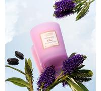 COLLINES DE PROVENCE-Bougie parfumée en cire végétale Collines de Provence Patchouli Tonka - 180 g