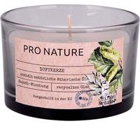 Bougie Parfumée Pro Nature - 58x86mm Bouleau - Herbes