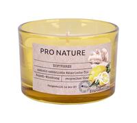Bougie Parfumée Pro Nature - 58x86mm Gingembre-Fleur de Citron
