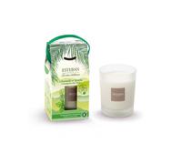 Bougie parfumée rechargeable Citronnelle et Menthe 180g - Esteban
