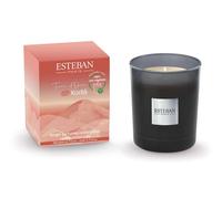 ESTEBAN PARIS PARFUMS-Bougie parfumée initiale senteur terre d'ocre karité Esteban - 180 g