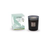 Bougie parfumée rechargeable initiale pu