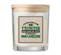 Bougie Parfumée Vanille J'ai peut-être l'air de t'écouter mais dans ma tête je pense qu'à mon caméléon J'ai peut-être l'air de t'écouter mais je ne pense qu'à - Activité