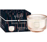 Bougie parfumée Variation corps Velours d'Orient 140 g
